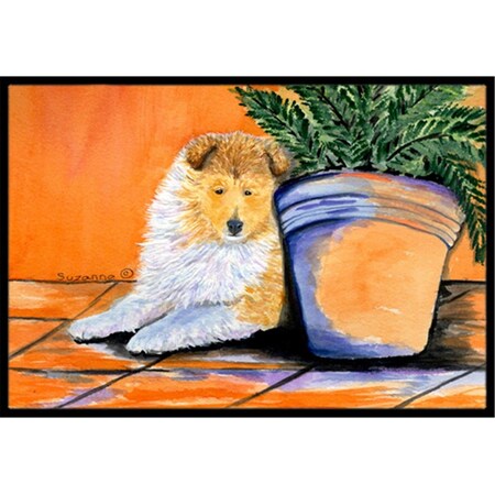 Carolines Treasures 18 x 27 in. Sheltie Indoor Outdoor Doormat SS8667MAT